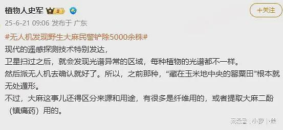 新疆铲除野生大麻5000余株，遭大V吐槽：那是本土品种，工业用的并非毒品（组图） - 3