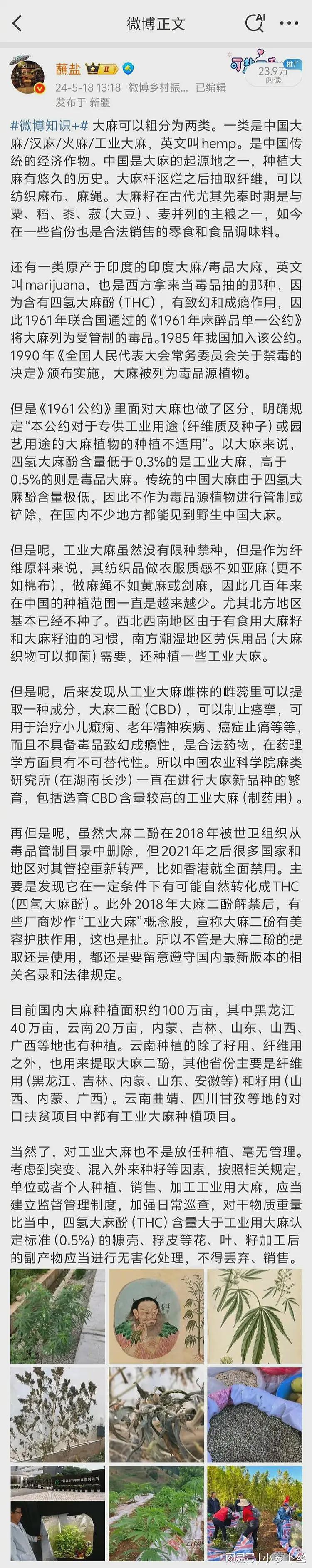 新疆铲除野生大麻5000余株，遭大V吐槽：那是本土品种，工业用的并非毒品（组图） - 8