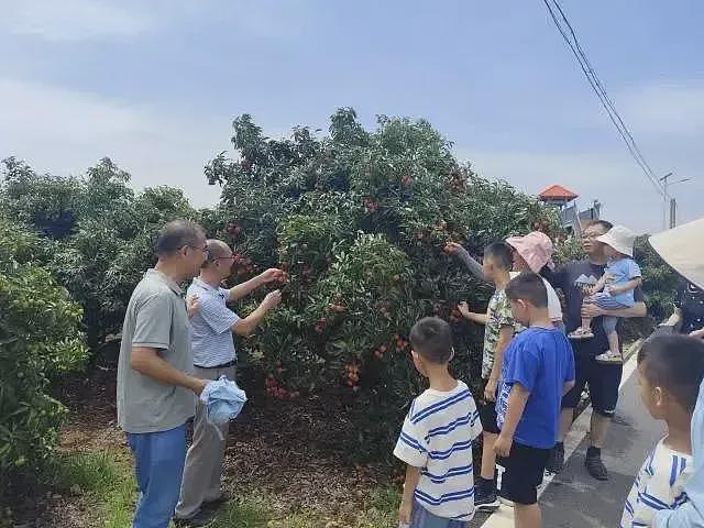 荔枝60一斤卖给迪拜土豪：中国水果，完成了一次痛苦蜕变（组图） - 14