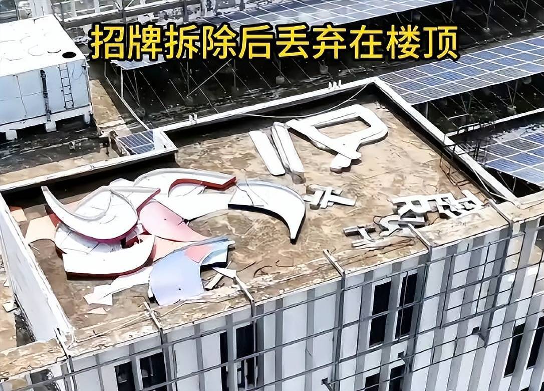 三只羊现状曝光！员工陆续离职，公司里空无一人，小杨哥复出无望（组图） - 21