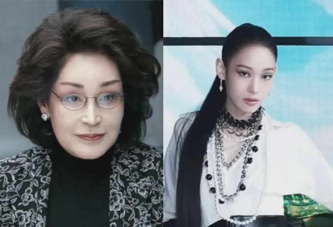 韩国女首富外孙女出道！眼神凌厉长相贵气，韩娱唯一的真财阀千金（组图） - 6