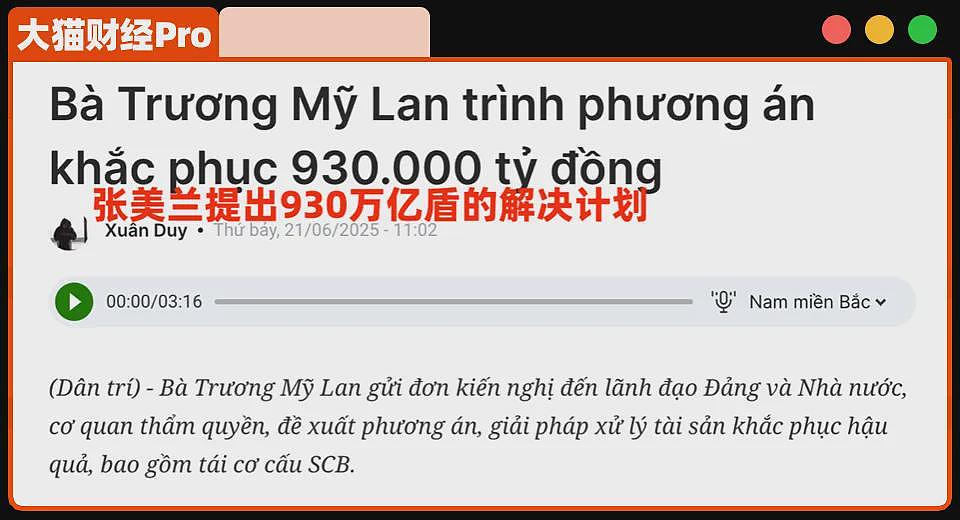 坑钱700万亿的越南女首富，逃脱死刑……（组图） - 4