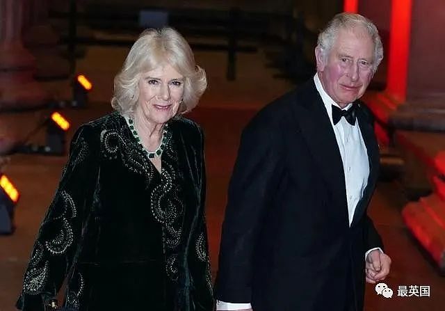 牙膏必须1英寸、浴缸水位需精准？查尔斯难伺候到“离谱”，却心甘情愿被孙子当玩具抠眼睛（组图） - 6