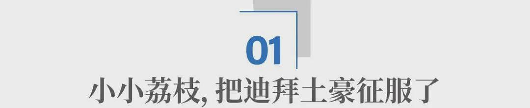 荔枝60一斤卖给迪拜土豪：中国水果，完成了一次痛苦蜕变（组图） - 4