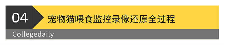 电锯、出轨、喋血厨房！谷歌杀妻案再开庭，现场监控首次公开（组图） - 12