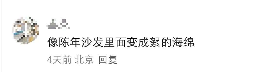 Zara“淋巴肉”发圈被群嘲,巴黎世家看了都想报警(组图) - 4