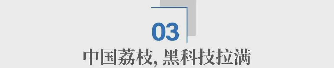 荔枝60一斤卖给迪拜土豪：中国水果，完成了一次痛苦蜕变（组图） - 13