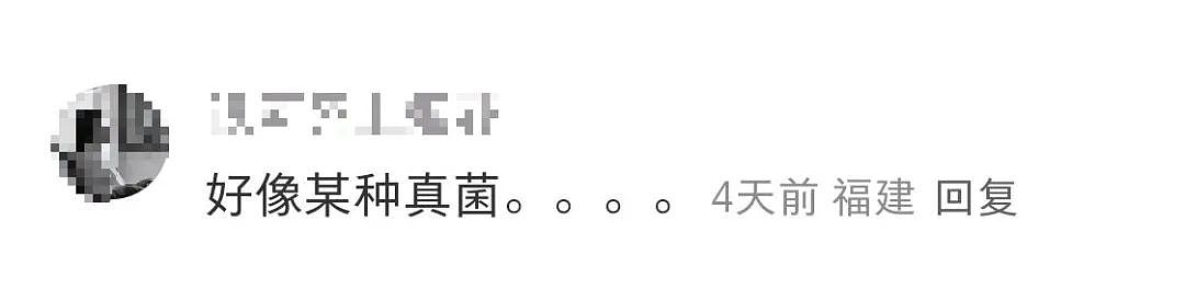 Zara“淋巴肉”发圈被群嘲,巴黎世家看了都想报警(组图) - 8