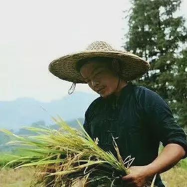 暴雨72小时:冲垮的稻田,中断的生活(组图) - 3