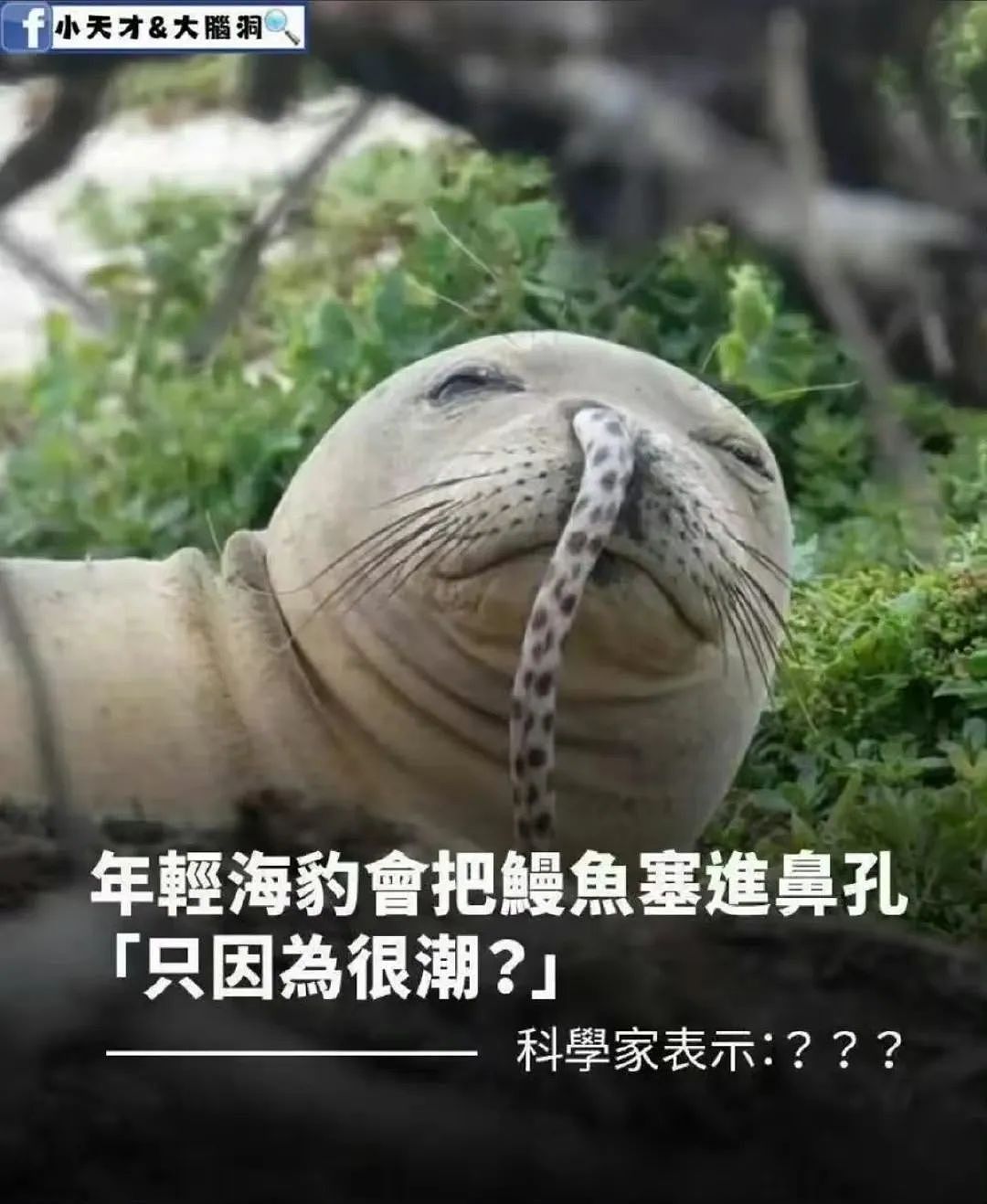 【爆笑】考上985后被亲戚拉进了家族群…？”啊啊啊成功的那一刻全世界都‘吻’上来了（组图） - 59
