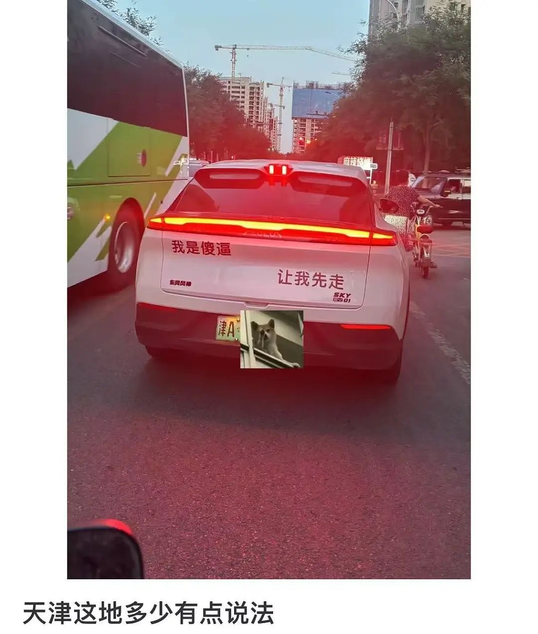 【爆笑】考上985后被亲戚拉进了家族群…？”啊啊啊成功的那一刻全世界都‘吻’上来了（组图） - 34