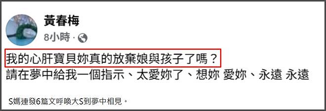 大S豪宅面临法拍！葛斯齐曝S妈想卖房害怕赔钱，具俊晔不想趟浑水（组图） - 15