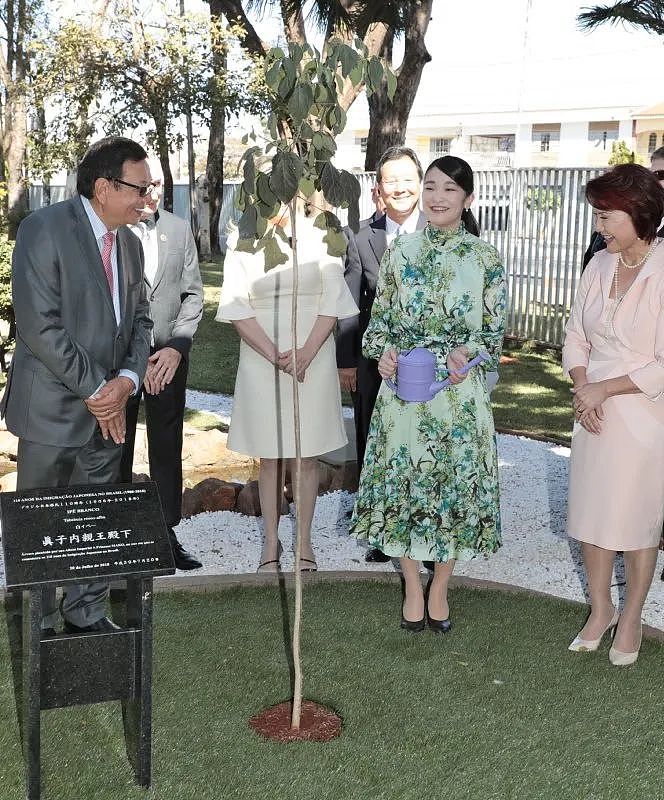 日本最美公主被废柴太子弟害惨？出访国外连飞10天只敢坐经济舱，网友：为了挽回家族口碑付出太多（组图） - 18