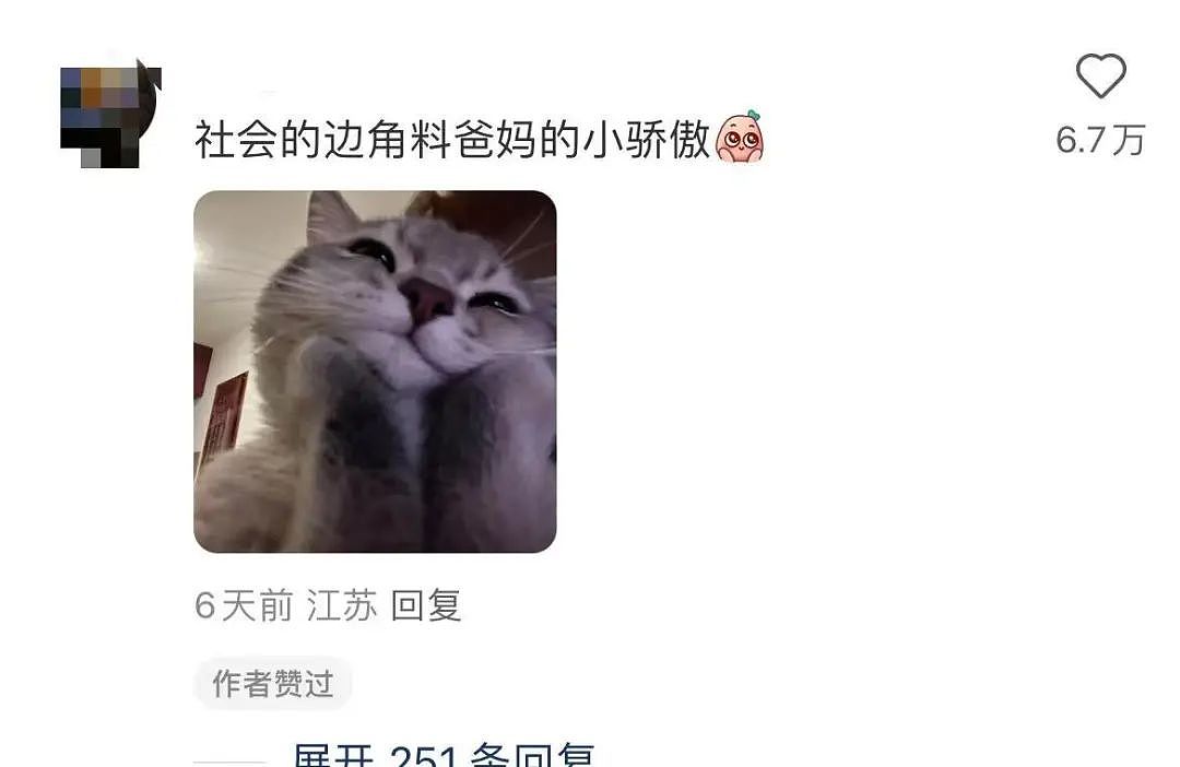 【爆笑】考上985后被亲戚拉进了家族群…？”啊啊啊成功的那一刻全世界都‘吻’上来了（组图） - 14