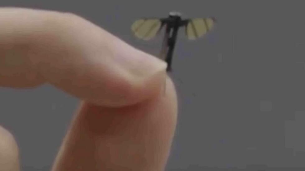 中国科学家研制出蚊子般大小的无人机（图） - 1