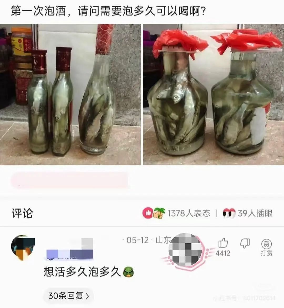 【爆笑】考上985后被亲戚拉进了家族群…？”啊啊啊成功的那一刻全世界都‘吻’上来了（组图） - 29