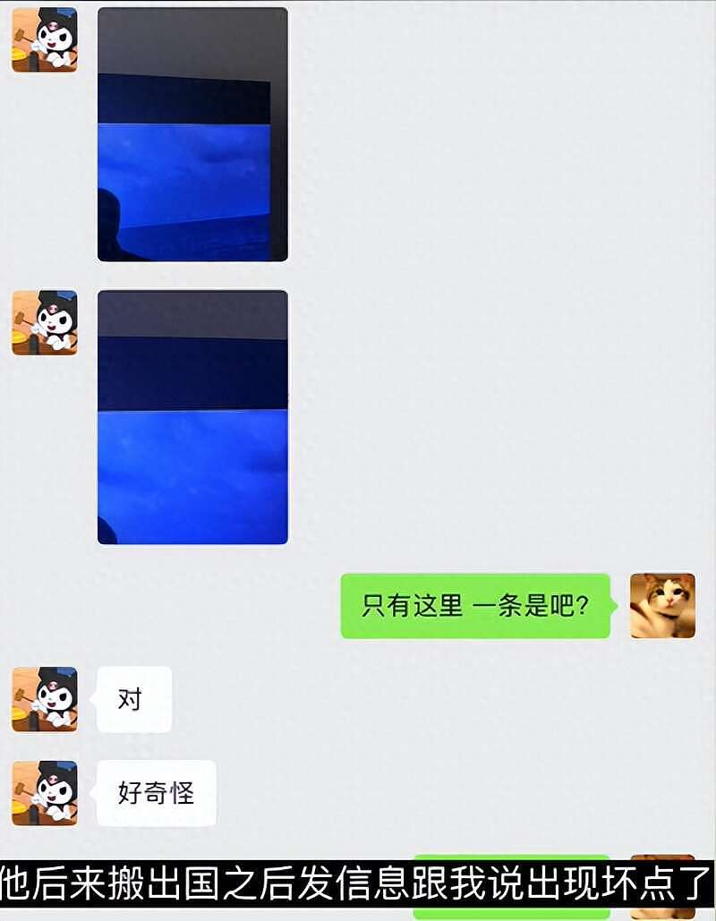 王思聪日本豪宅首曝光！养猫头鹰，客厅豪华（组图） - 1