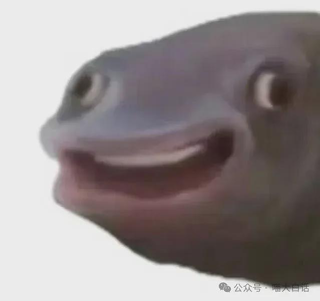 【爆笑】“班里只有一个女生是什么体验??”哈哈哈哈哈哈怎么有种命苦感!(组图) - 16
