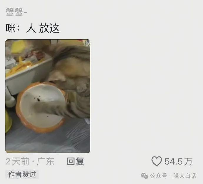 【爆笑】“班里只有一个女生是什么体验??”哈哈哈哈哈哈怎么有种命苦感!(组图) - 66