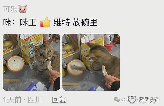 【爆笑】“班里只有一个女生是什么体验??”哈哈哈哈哈哈怎么有种命苦感!(组图) - 67