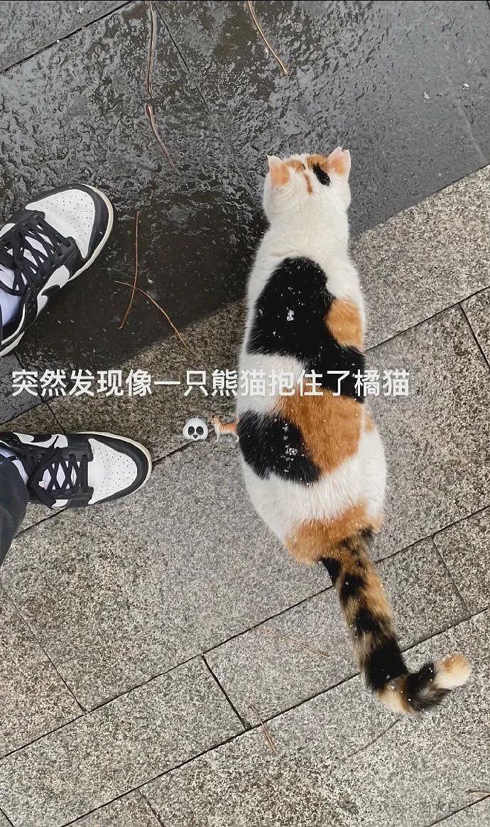 【爆笑】“班里只有一个女生是什么体验??”哈哈哈哈哈哈怎么有种命苦感!(组图) - 47