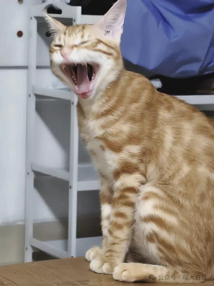 【爆笑】“班里只有一个女生是什么体验??”哈哈哈哈哈哈怎么有种命苦感!(组图) - 89