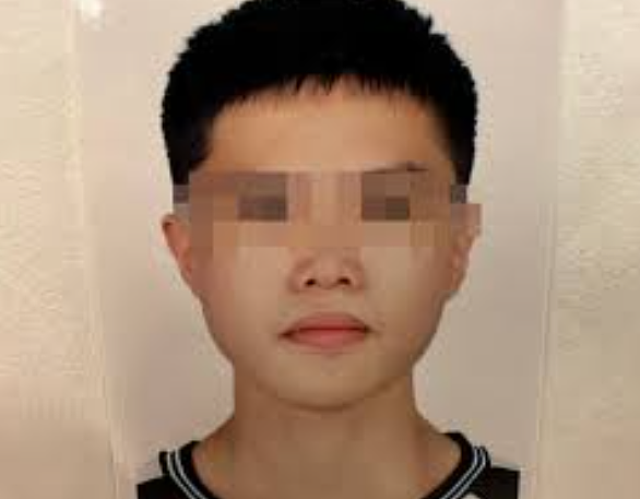 18岁男孩继承5亿遗产后离奇坠亡!取骨灰路上突然与男子闪婚,有重大进展...(组图) - 6