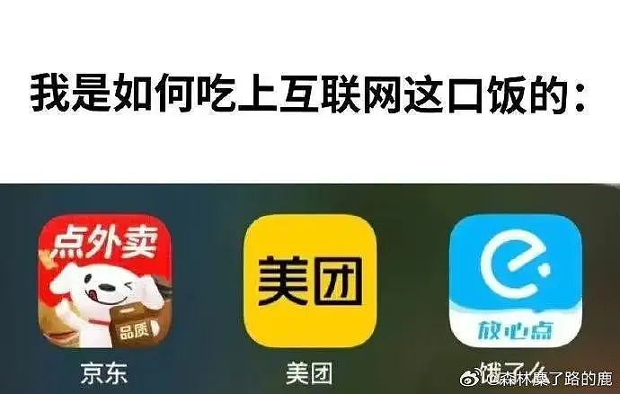 【爆笑】“千万不要把狗和仓鼠养在一起!”哈哈哈哈哈哈哈哈笑到发癫!(组图) - 72