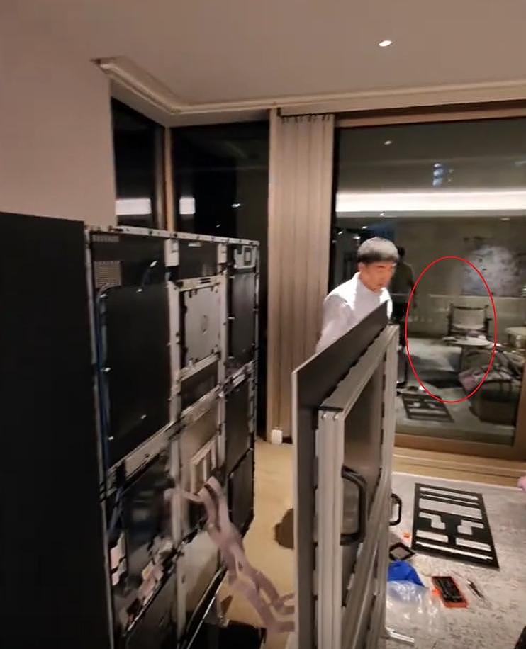 王思聪日本豪宅首曝光！养猫头鹰，客厅豪华（组图） - 9