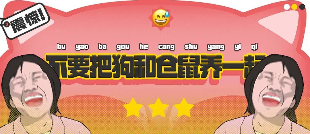 【爆笑】“千万不要把狗和仓鼠养在一起!”哈哈哈哈哈哈哈哈笑到发癫!(组图) - 1