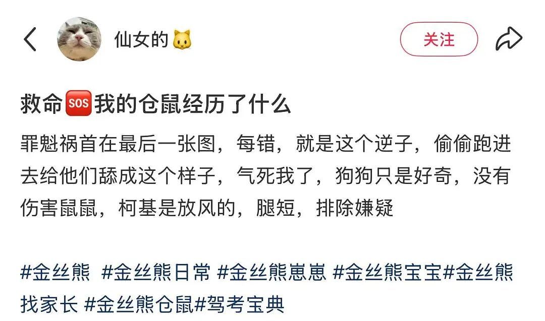 【爆笑】“千万不要把狗和仓鼠养在一起!”哈哈哈哈哈哈哈哈笑到发癫!(组图) - 4