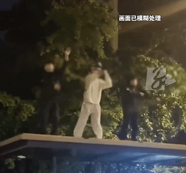山东“23名黄毛砸车打人被抓”事件,其实挺悲哀的…(组图) - 8