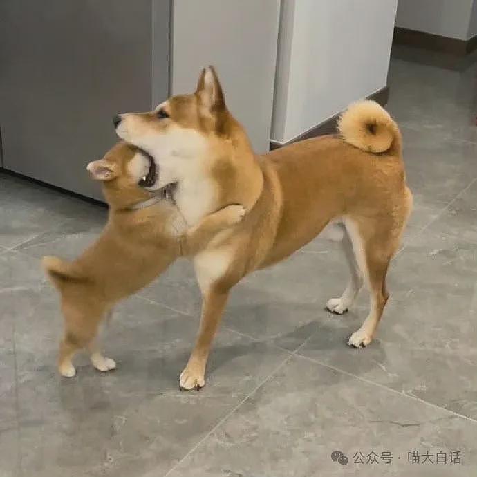 【爆笑】“班里只有一个女生是什么体验??”哈哈哈哈哈哈怎么有种命苦感!(组图) - 63