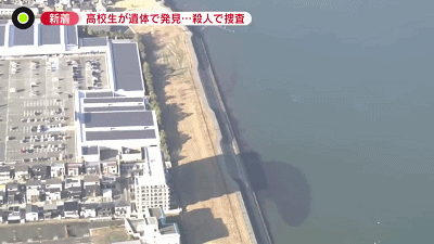 未使用敬语，17岁中国留学生在日本被残忍杀害扔进湖里，凶手身份曝光（组图） - 6
