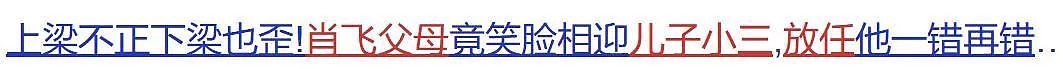 清华男博士后出轨事件：他老妈的聊天记录才是关键（组图） - 9