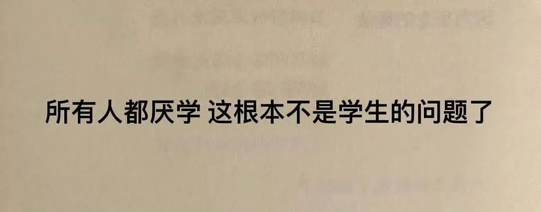 【爆笑】“千万不要把狗和仓鼠养在一起!”哈哈哈哈哈哈哈哈笑到发癫!(组图) - 66
