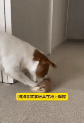 【爆笑】“班里只有一个女生是什么体验??”哈哈哈哈哈哈怎么有种命苦感!(组图) - 78