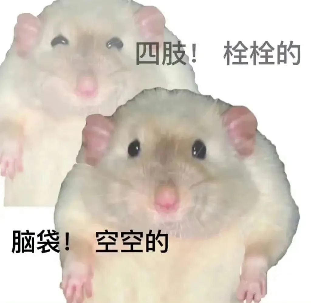 【爆笑】“千万不要把狗和仓鼠养在一起!”哈哈哈哈哈哈哈哈笑到发癫!(组图) - 2