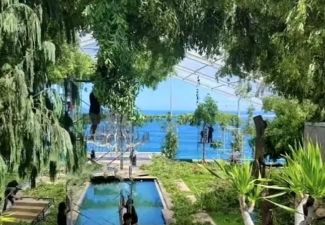 恭喜正式离婚？老公出轨净身出户，富家千金幡然醒悟不生娃？（组图） - 8