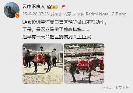 壶口瀑布公驴露生殖器遭游客投诉，景区整改给驴戴罩子，结果更显眼了（组图） - 3