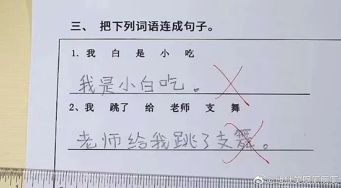 【爆笑】“千万不要把狗和仓鼠养在一起!”哈哈哈哈哈哈哈哈笑到发癫!(组图) - 42