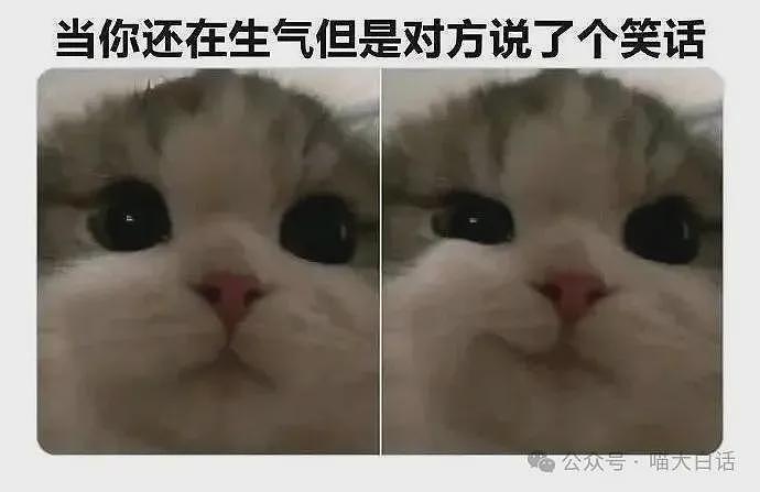 【爆笑】“班里只有一个女生是什么体验??”哈哈哈哈哈哈怎么有种命苦感!(组图) - 53