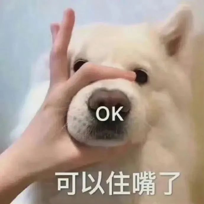 【爆笑】“千万不要把狗和仓鼠养在一起!”哈哈哈哈哈哈哈哈笑到发癫!(组图) - 8