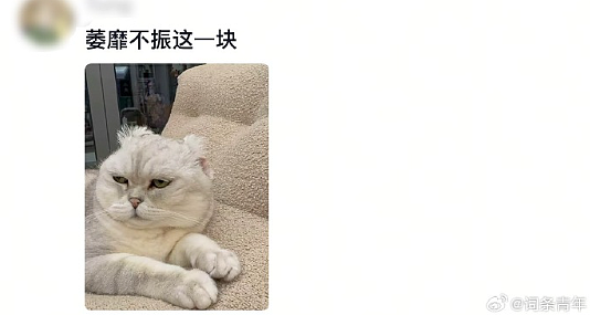 【爆笑】恋爱期间前男友一共转给我3w块钱,分手要求把钱返还,不然就起诉我?(组图) - 16