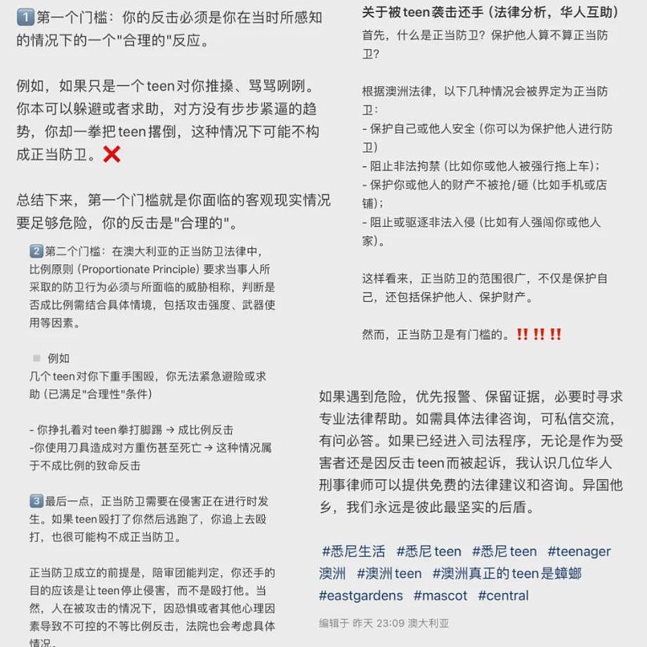 塌房了！澳洲华裔被打屡禁不止，300名华人涌入悉尼CBD游行！难道澳洲留学也不能去了？（组图） - 17