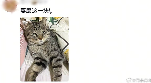 【爆笑】恋爱期间前男友一共转给我3w块钱,分手要求把钱返还,不然就起诉我?(组图) - 15