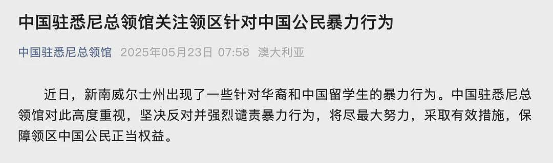 塌房了！澳洲华裔被打屡禁不止，300名华人涌入悉尼CBD游行！难道澳洲留学也不能去了？（组图） - 8
