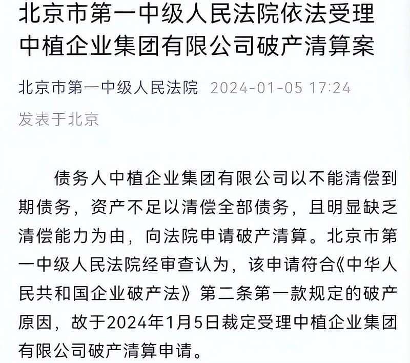 比恒大还多1.14万亿债务的巨头倒了（组图） - 7