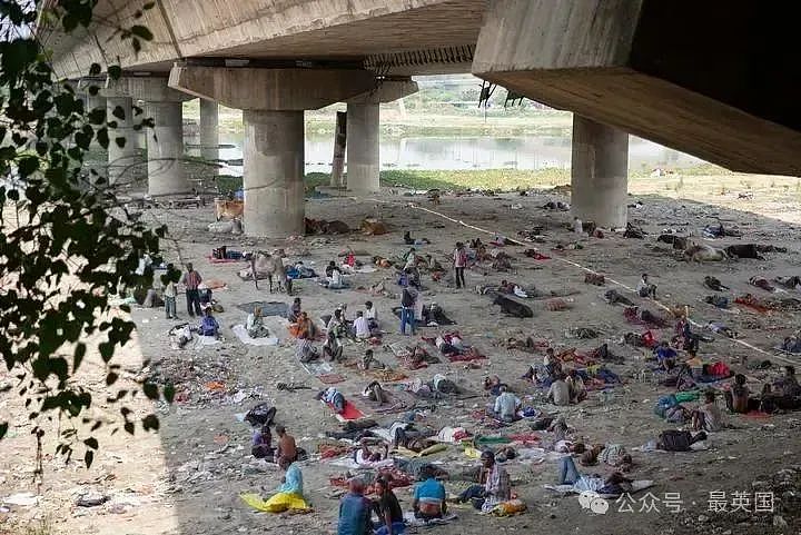 近50℃炼狱,印度人绝望求生!猴子热死蚊子消失,恒河已不堪重负!“热死人“不再是玩笑…(组图) - 11