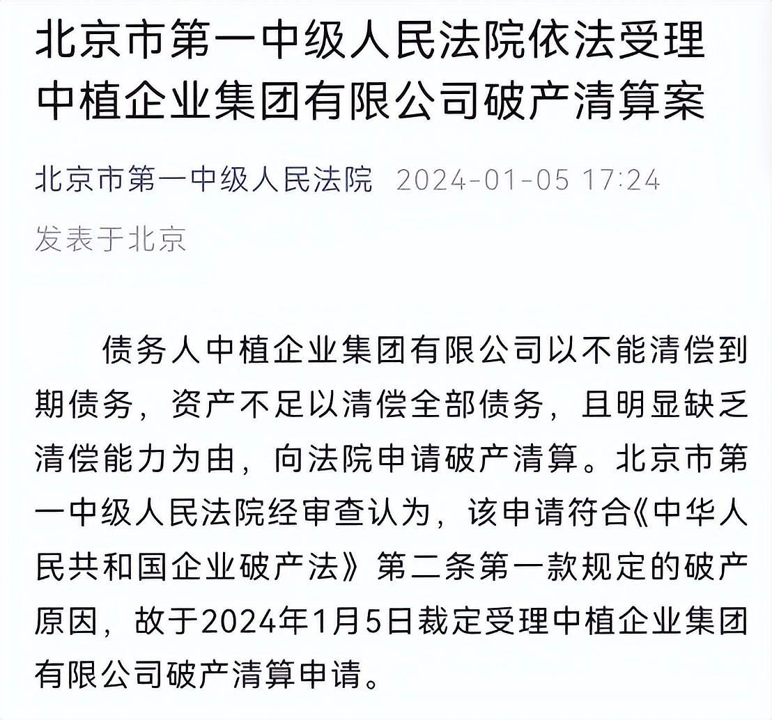 比恒大还多1.14万亿的巨头，倒了！（组图） - 9